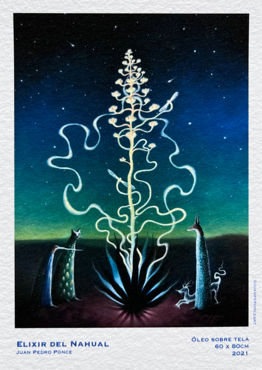 Postal “Elixir del Nahual”